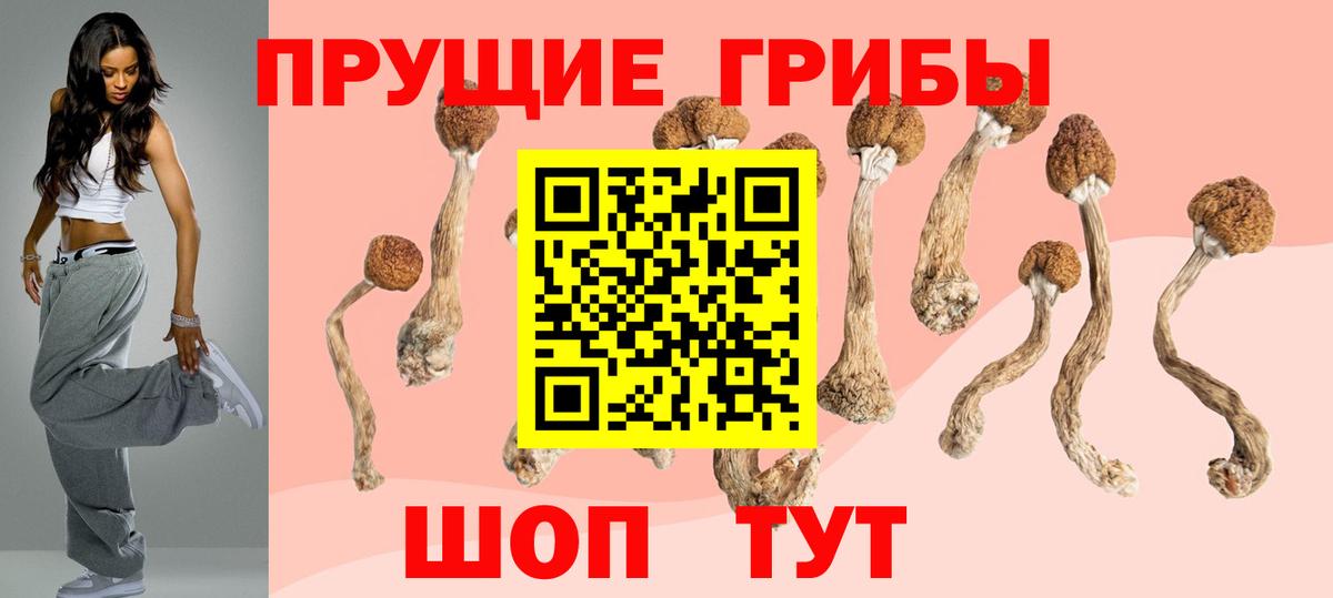 Псилоцибиновые грибы прущие грибы Кулебаки