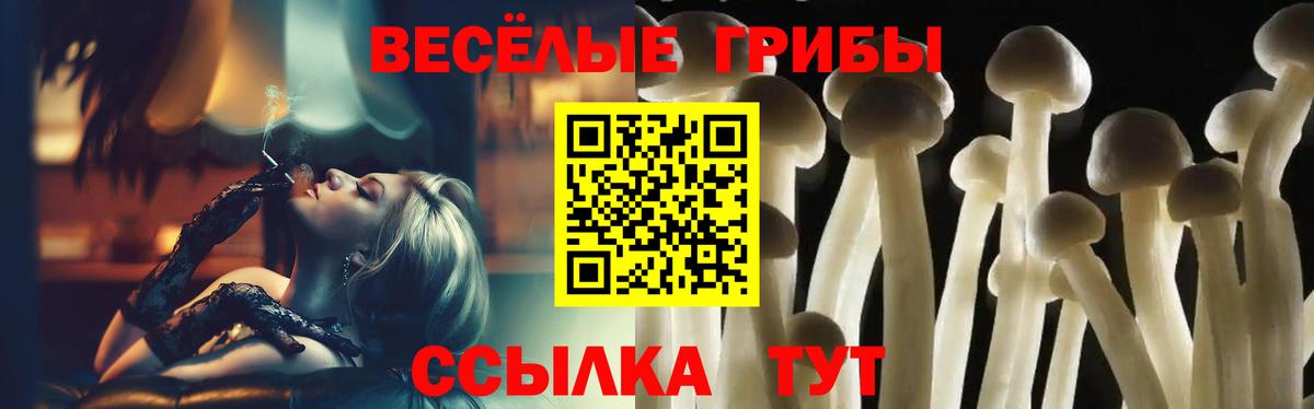 Кулебаки  продажа наркотиков  Вход с VPN  Галлюциногенные грибы MAGIC MUSHROOMS 